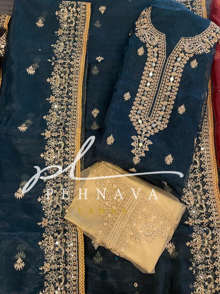 Organza mirror work suit - Image 5